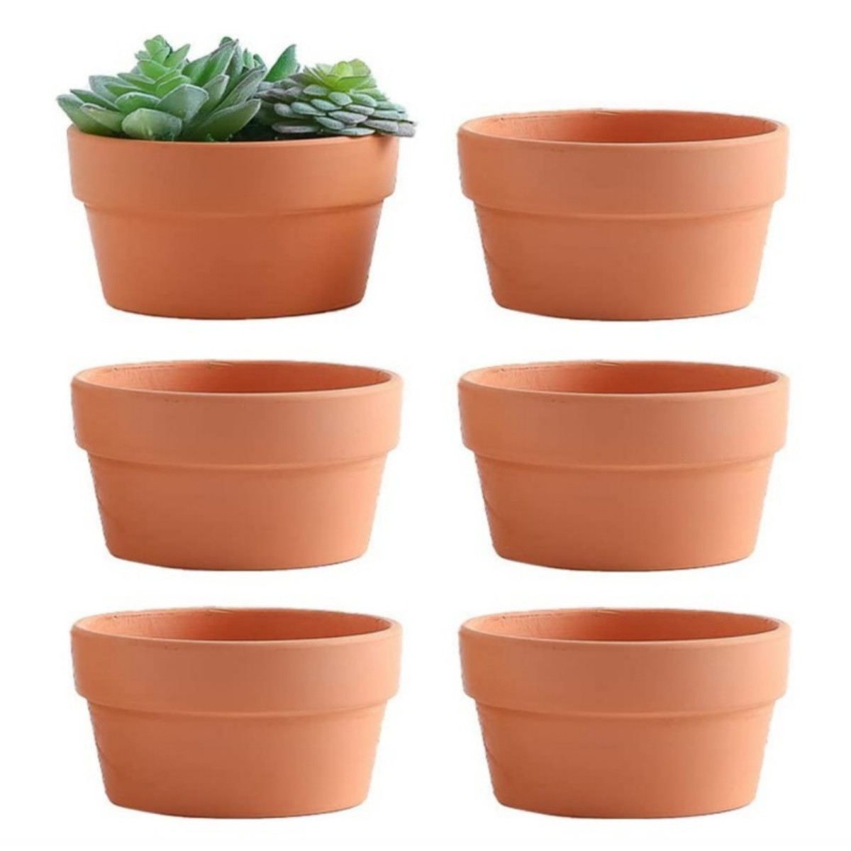 Desk Setup Plant - 6 pezzi vasi in terracotta da