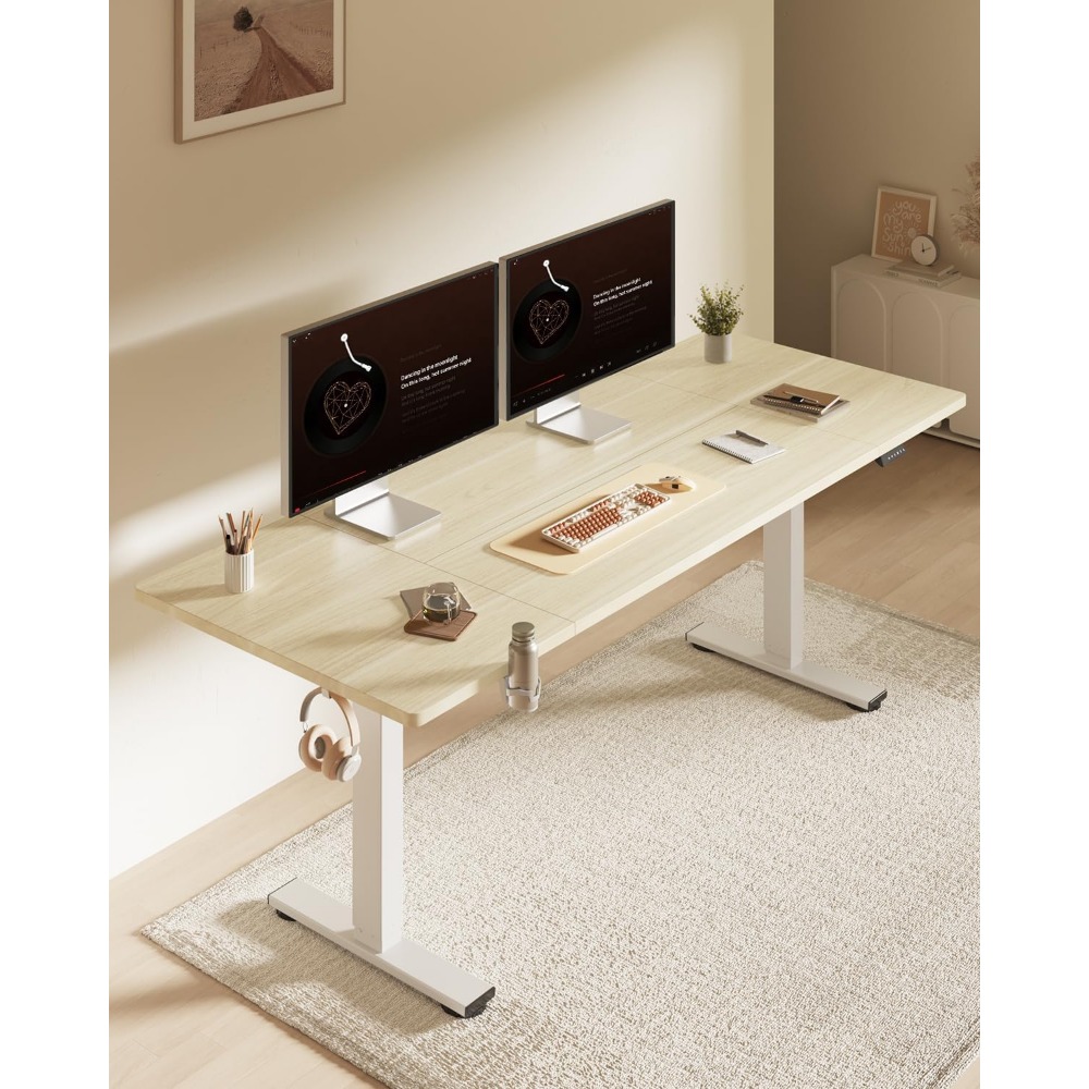 Scrivania Elettrica Regolabile - Desk Setup Office recensione e prezzo