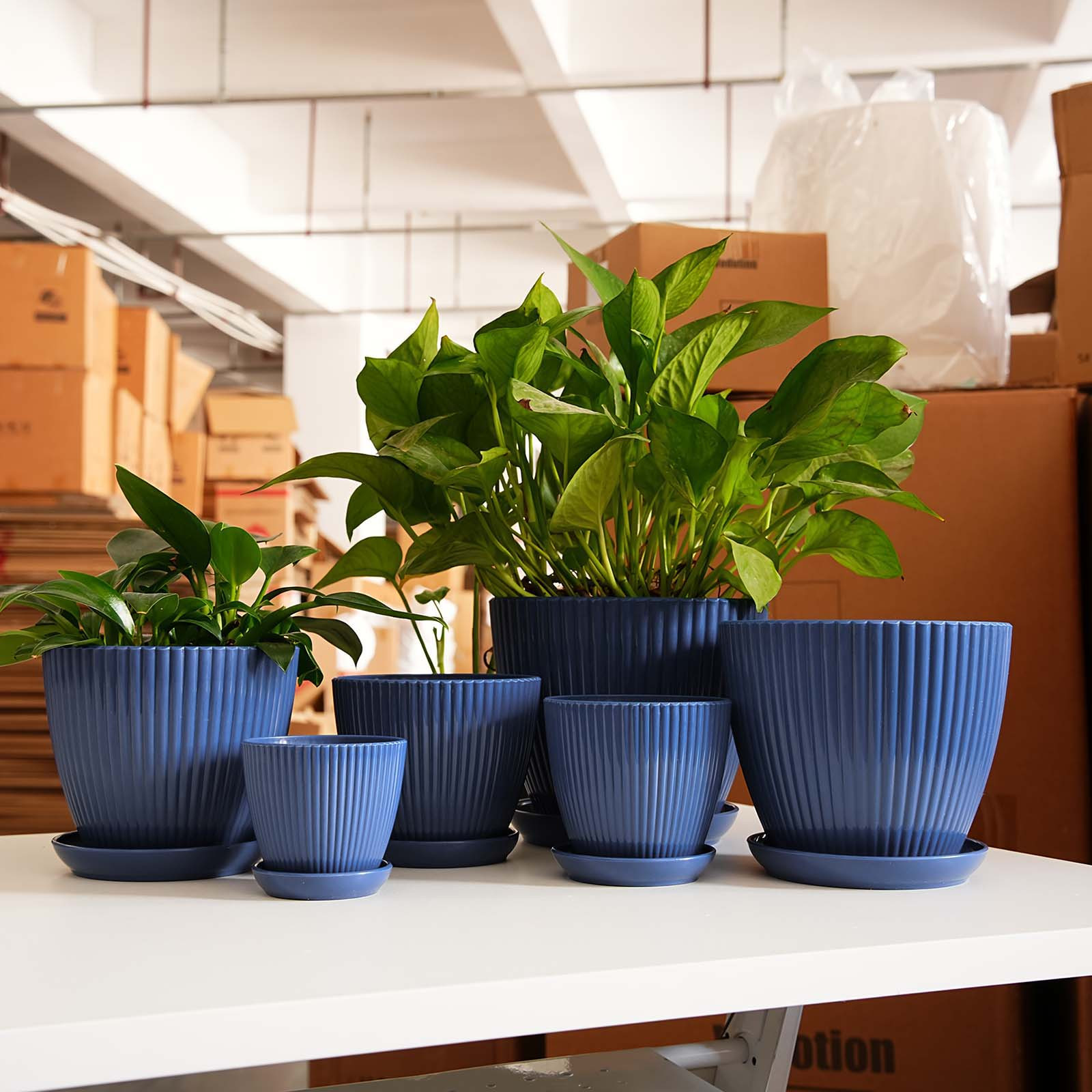 Vaso per Piante a Strisce Vert - Desk Setup Plant recensione e prezzo