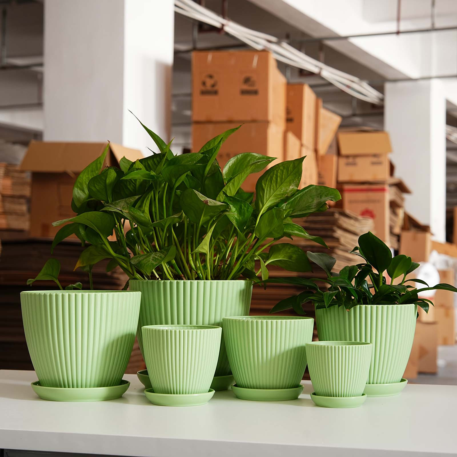 Vaso per Piante a Strisce Vert - Desk Setup Plant recensione e prezzo