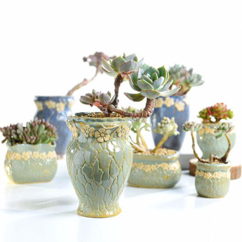 Piante succulente Vaso di Fior - Desk Setup Plant recensione e prezzo