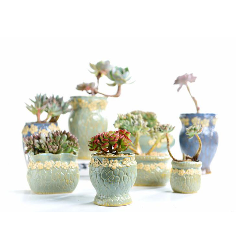 Piante succulente Vaso di Fior - Desk Setup Plant recensione e prezzo