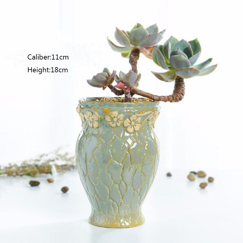 Piante succulente Vaso di Fior - Desk Setup Plant recensione e prezzo