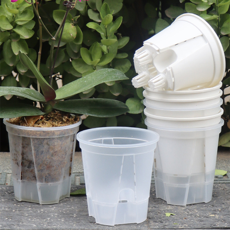Vaso per orchidee trasparente  - Desk Setup Plant recensione e prezzo