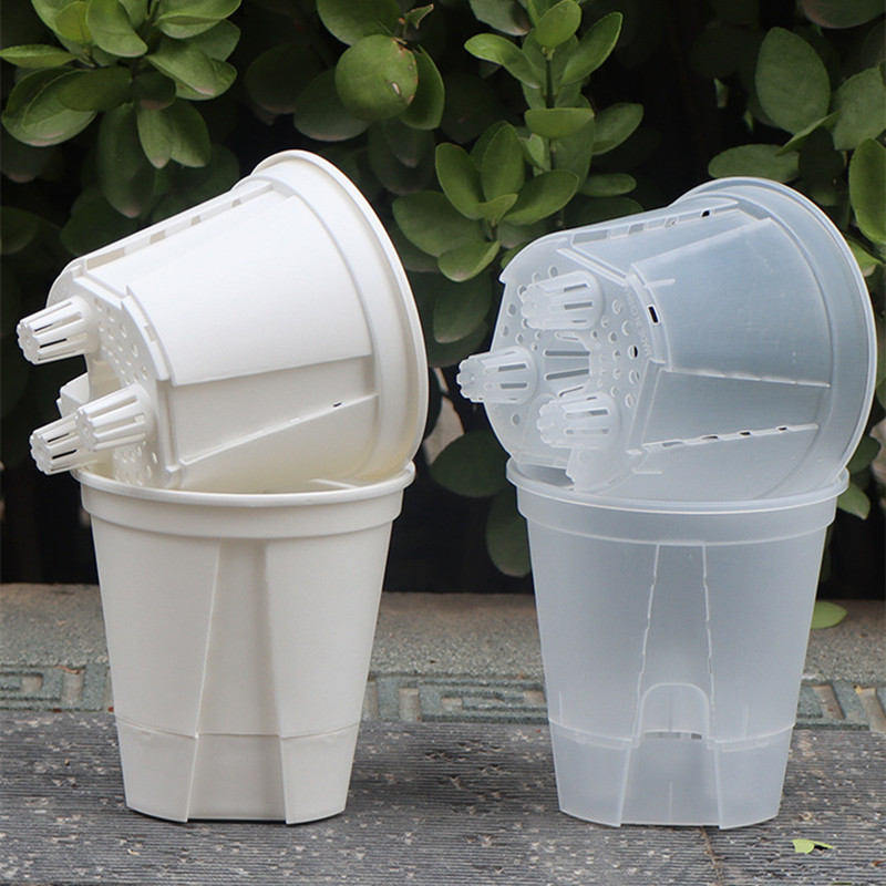 Vaso per orchidee trasparente  - Desk Setup Plant recensione e prezzo