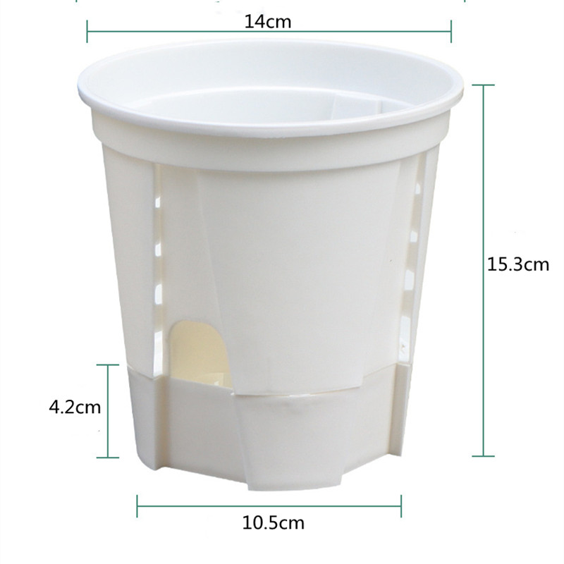 Vaso per orchidee trasparente  - Desk Setup Plant recensione e prezzo